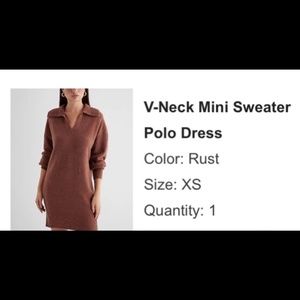 Express Vneck mini sweater polo dress